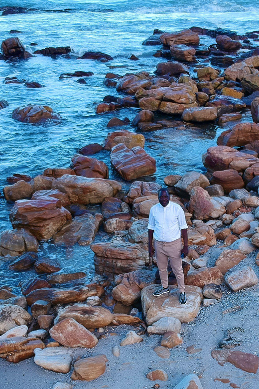 From Cape Town:Private Tour to Boulders Beach and Cape Point