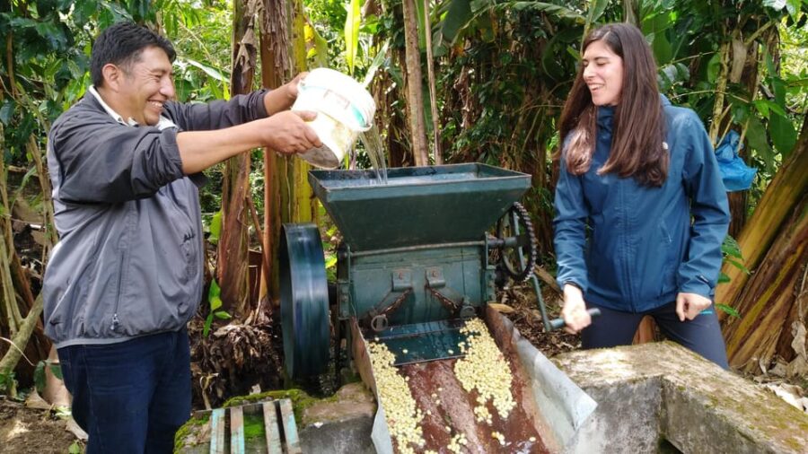 3 Best Coffee Tours And Tastings In Sacred Valley