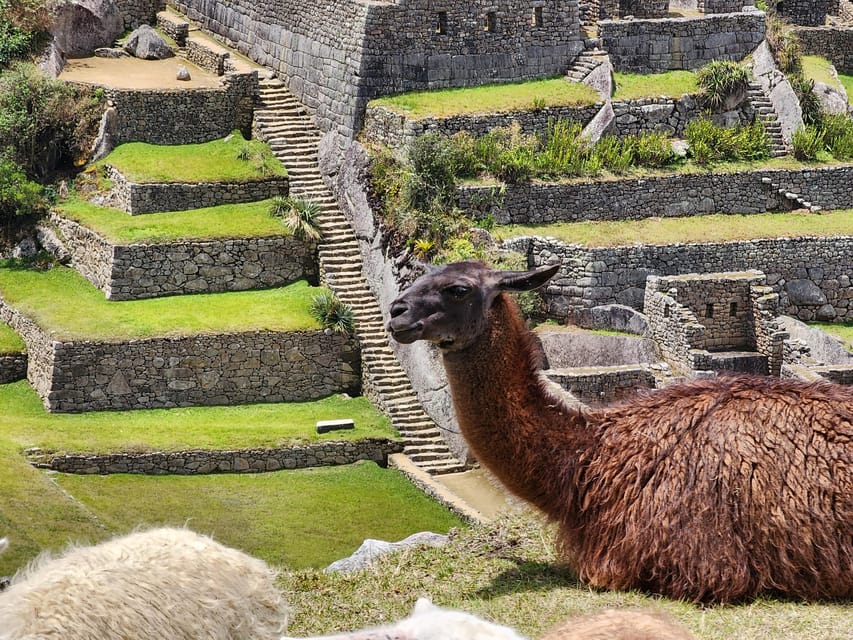 From Cusco: Full-Day All-Inclusive Tour Machu Picchu