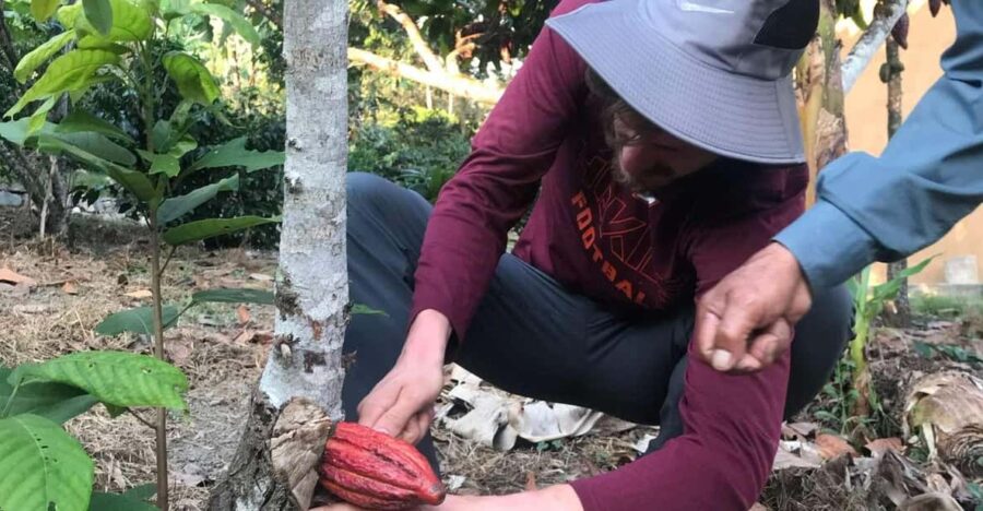 From Cusco: Quillabamba and Cocoa Farm 2-Day Tour - Overview