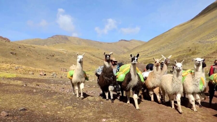 2 Best Tours In Rainbow Mountain