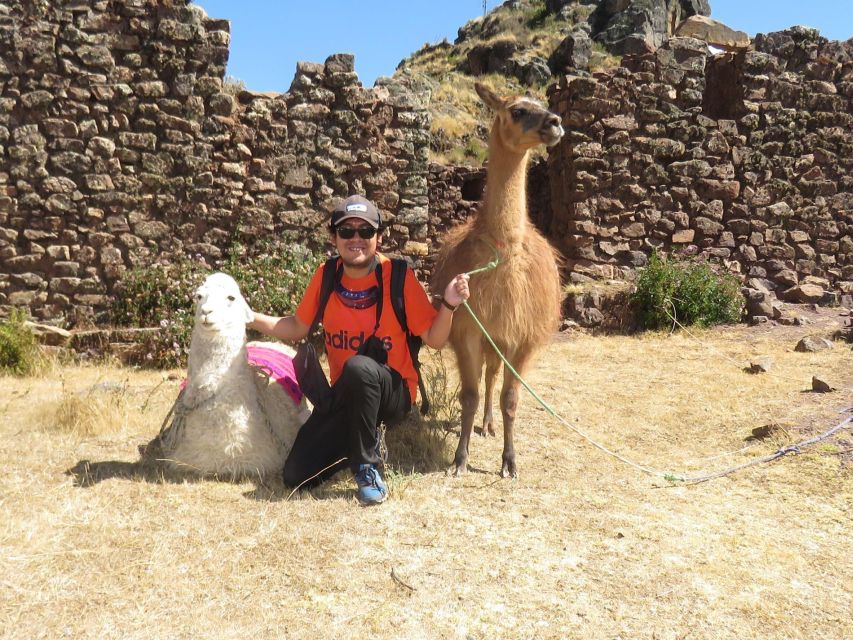 From Cusco: Tour to Chinchero/Maras/Moray+Picnic