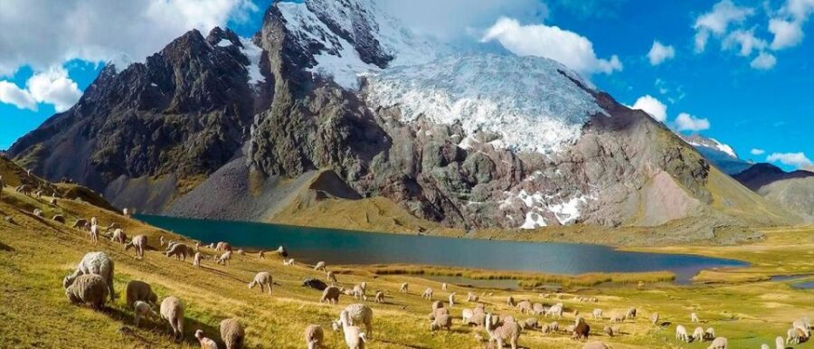 From Cusco: Walk to Ausangate 7 Lagoons 1 Day - Tour Overview