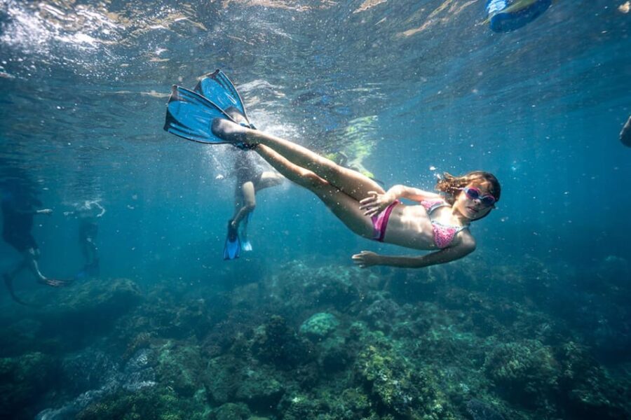 From Da Nang/ Hoi An: Cham Island Tour Group/ Private
