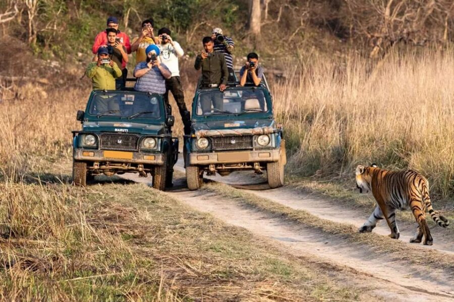 From Delhi: 6-Day Golden Triangle Tour With Ranthambore