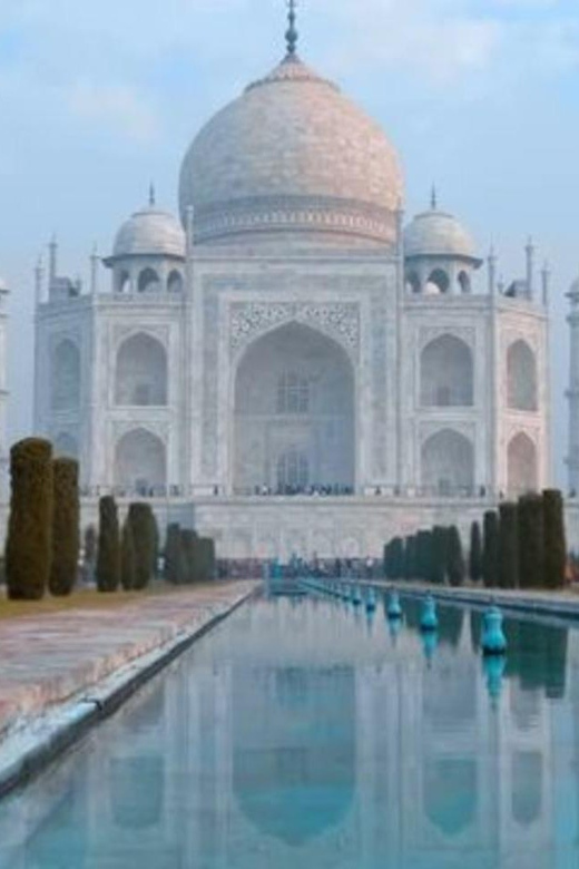 From Delhi: Taj Mahal Sunrise Tour Elephant Conservation