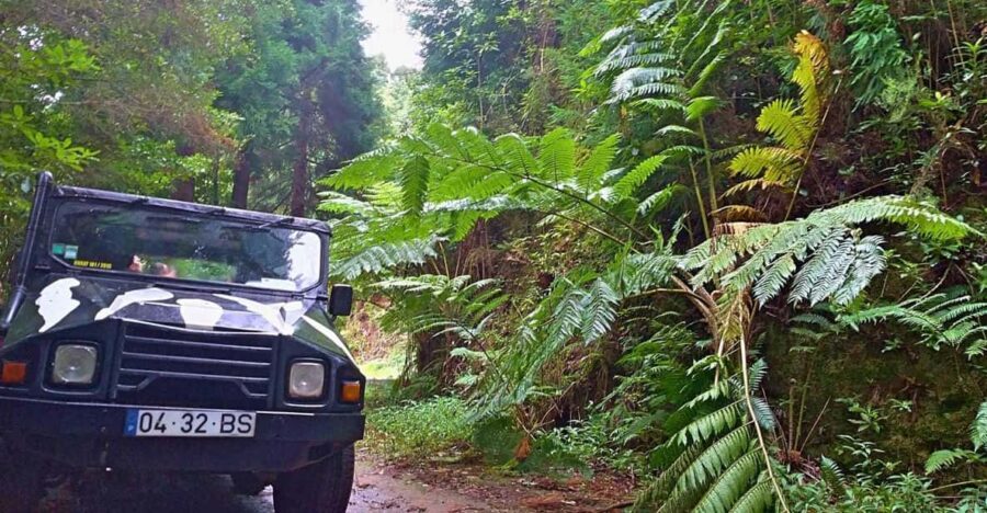 From Funchal: Pico Do Areiro and Santana Full-Day Jeep Tour