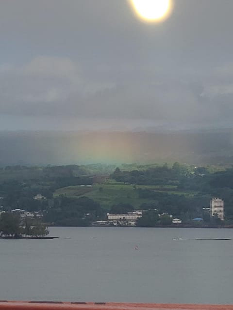 From Hilo: Hawaii Volcanoes National Park Tour - Tour Overview