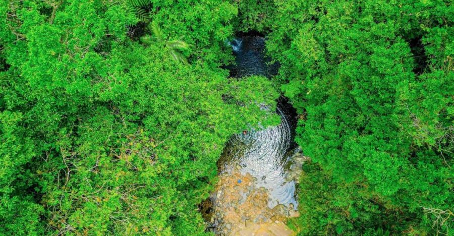 From Hue: 1 Day DISCOVERY BACH MA NATIONAL PARK