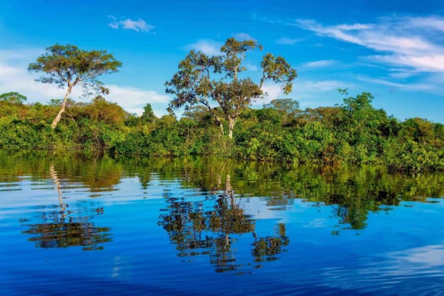 From Iquitos || 4-day / 3 Night Amazon and Ucayali Cruise || - Overview and Pricing