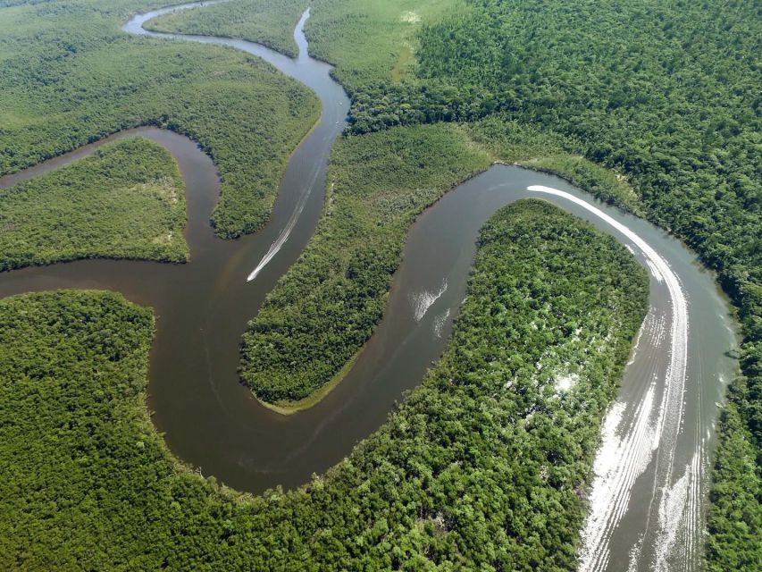 From Iquitos: Full Day Wonderful Wildlife - Overview and Pricing