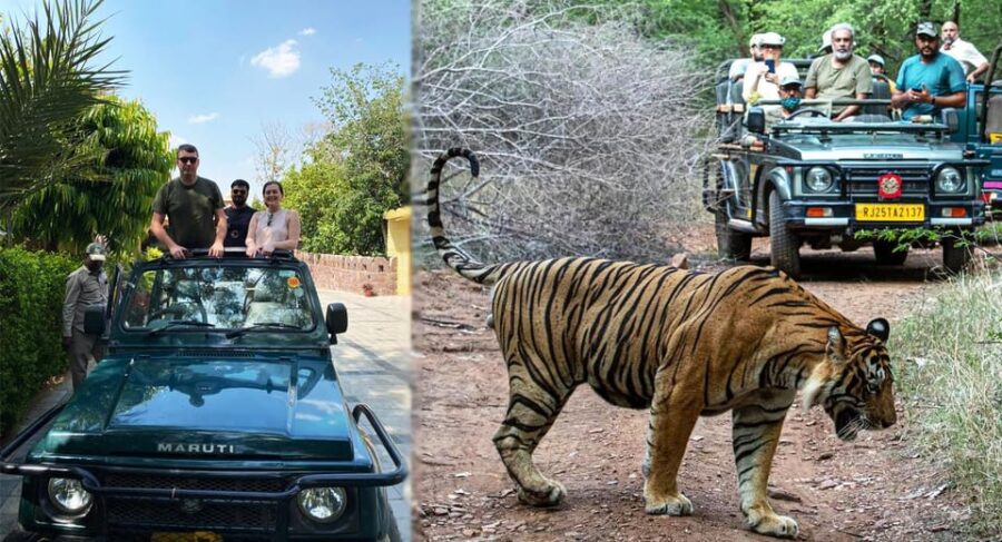 From Jaipur: Day Trip to Ranthambore With Tiger Safari
