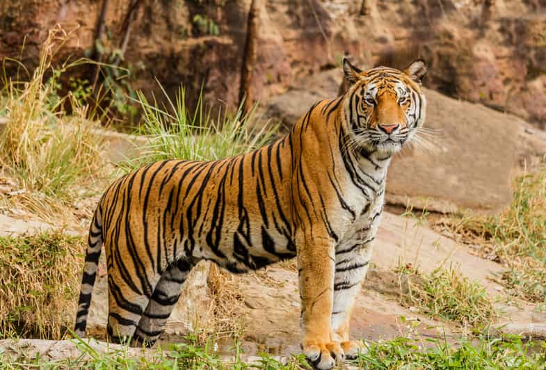 5 Best National Park Tours In Rajasthan