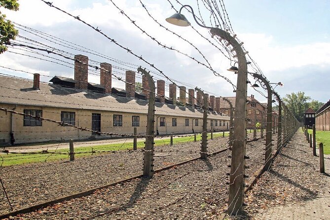 From Krakow: Auschwitz and Salt Mine Guided Tour & Lunch Box - Tour Highlights and Inclusions