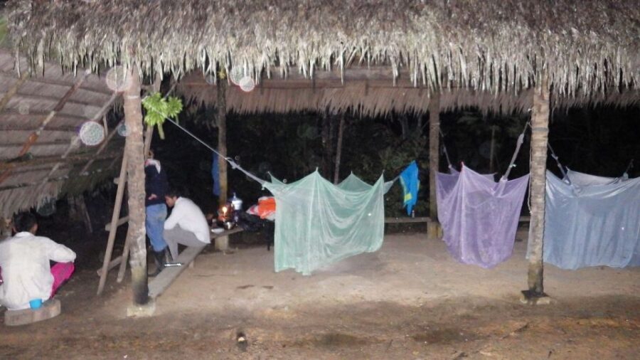 From Leticia to the Rainforest 3 Days/2 Nights Trek and Boat - Overview of the Trek