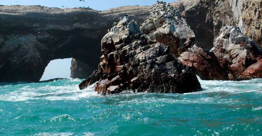 From Lima | Ballestas Islands and Huacachina Tour