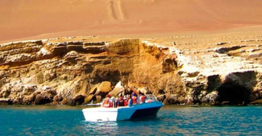 From Lima: Full Day Tour Paracas, Ica, and Huacachina