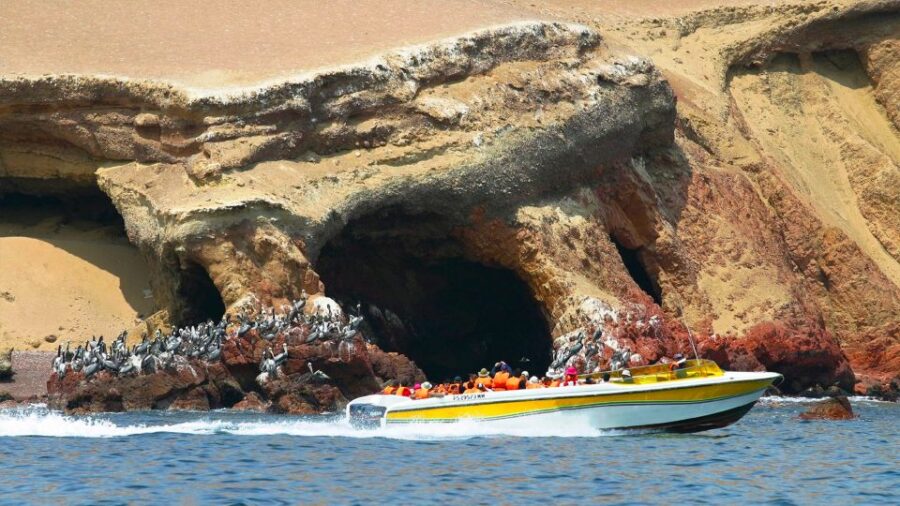 From Lima: Paracas and Huacachina Oasis Tour by Luxury Bus - Tour Overview and Pricing