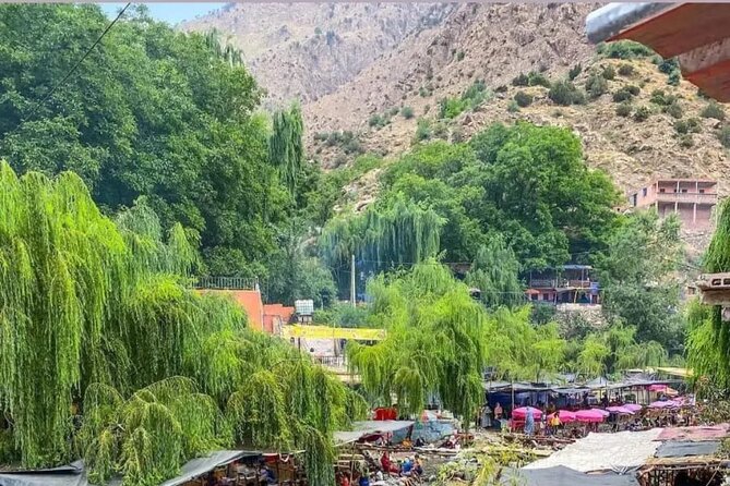 From Marrakech: Ourika Valley, Atlas, Waterfalls & Guide