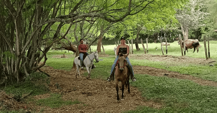 From Medellín: Horseback Tour + Visit to Santa Fe De Antioquia - Tour Overview and Pricing