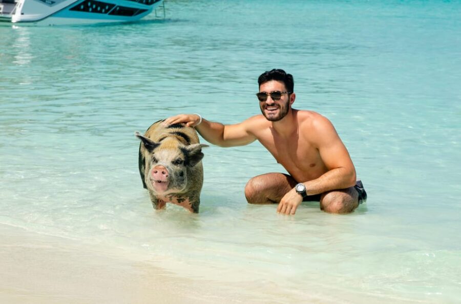 From Nassau: Swimming Pigs Island by Water Taxi With Drinks