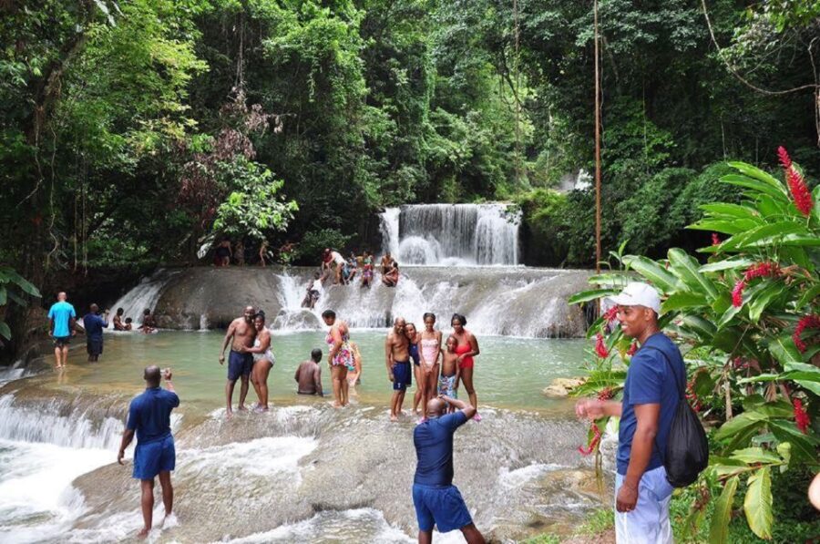 From Negril: YS Falls and the Pelican Bar - Experience Highlights