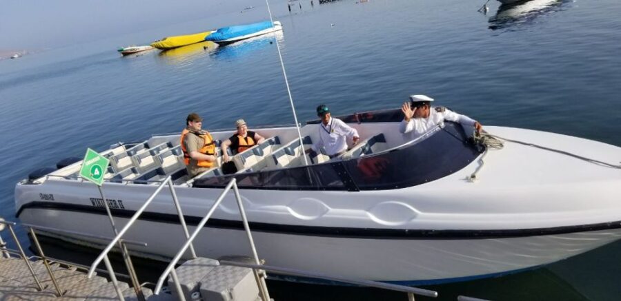 From Paracas or Pisco: Ballestas Islands Private Boat Trip - Trip Overview and Pricing