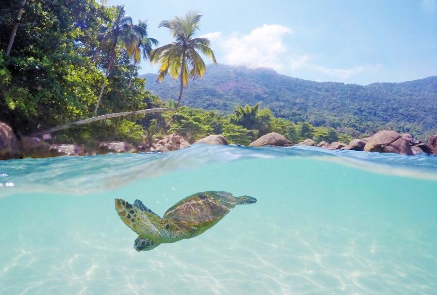 From Paraty: Shuttle To/From Abraão Village on Ilha Grande
