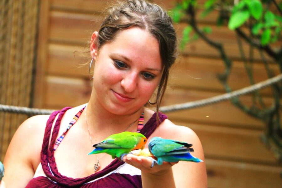 From Port Antonio: Off Road Vehicle Adventure Tour - Tour Overview and Pricing