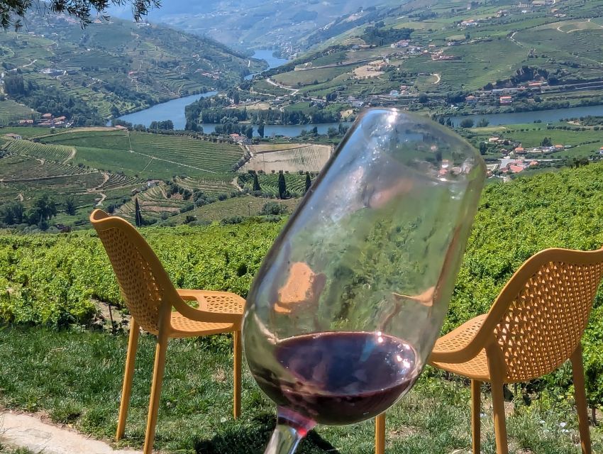 From Porto: 2 Wine Regions, Private Boat & Chefs Lunch