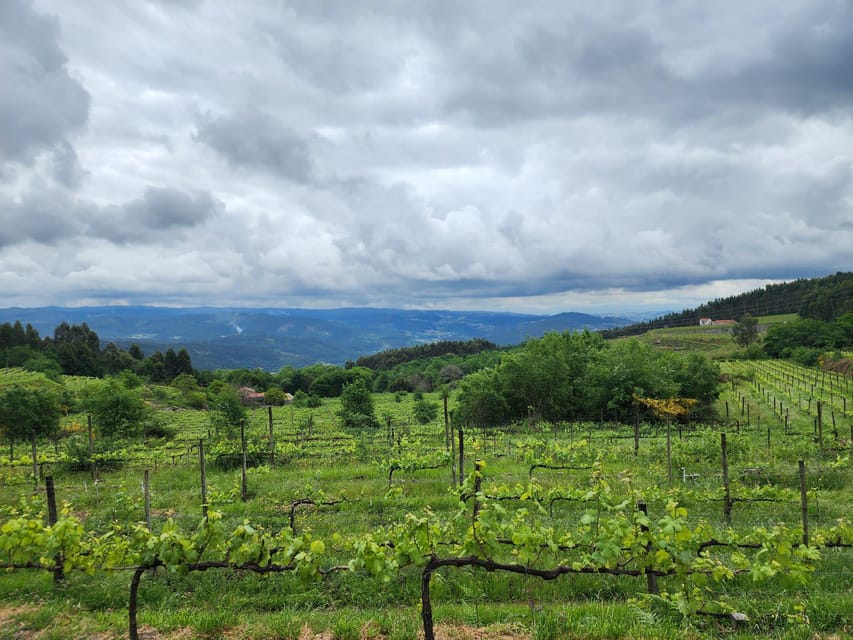 From Porto: Full-day Tour in Guimarães and Fafe