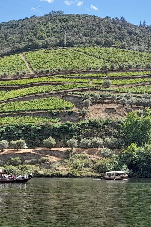 From Porto to Lisbon With Stop in Douro Valley