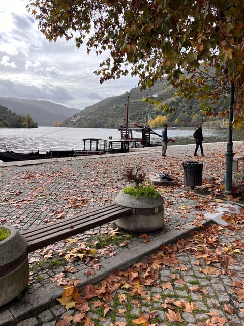 From Porto:Douro Valley Private Tour With Wine,Lunch, Cruise