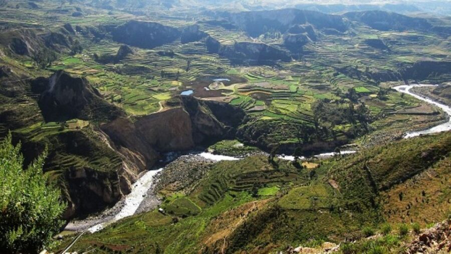From Puno to Arequipa: 2 Days/1 Night Colca Canyon Tour