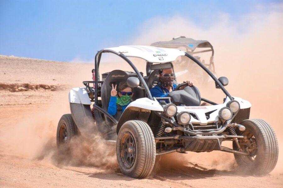 From Punta Cana: Double Buggy Excursion