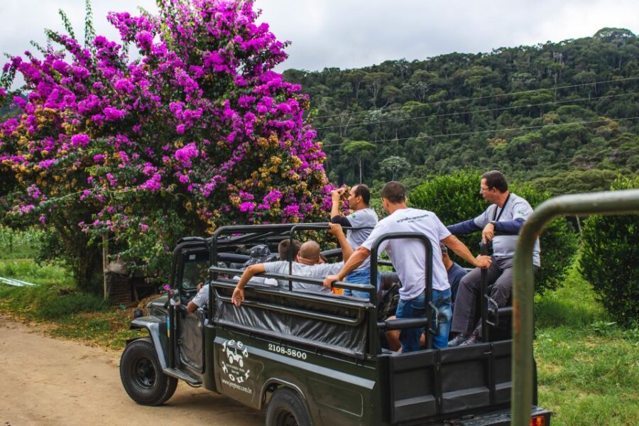 From Rio: Brejal Countryside Farm and Nature Day Trip - Discovering the Brejal Countryside