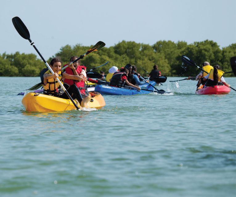 From Samana: Los Haitises Hike, Boat Trip, and Kayaking - Activity Overview