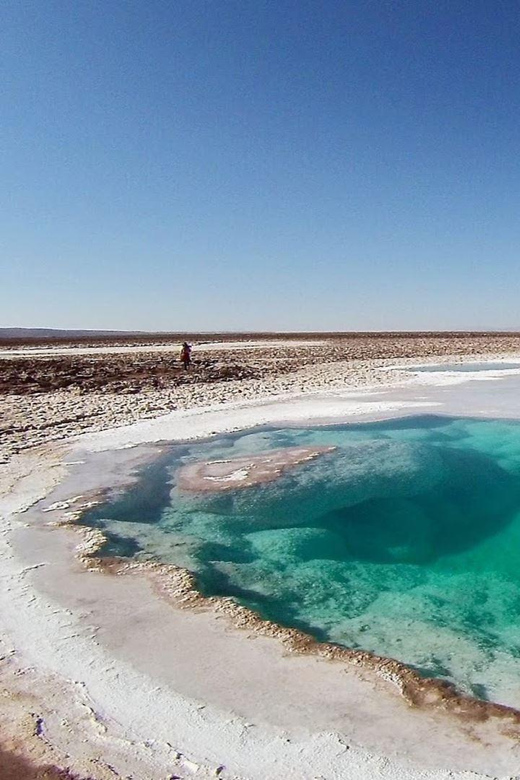 From San Pedro De Atacama: Hidden Lagoons of Baltinache