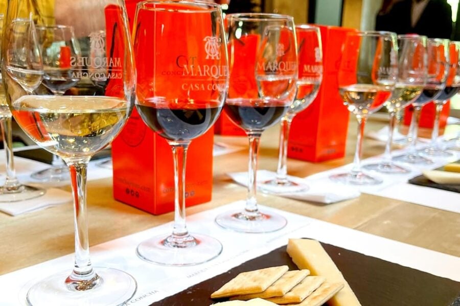 From Santiago: Concha Y Toro Marqués Half-Day Wine Tasting - Activity Overview
