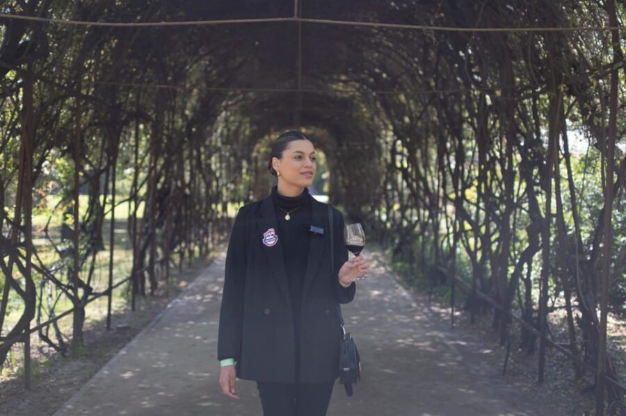 From Santiago: Concha Y Toro Marqués Half-Day Wine Tasting - Tour Overview and Pricing