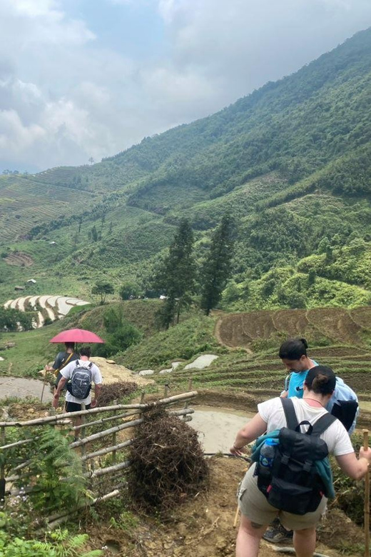 From Sapa - 1D Trek: Walk Through Bamboo Forest With Lunch