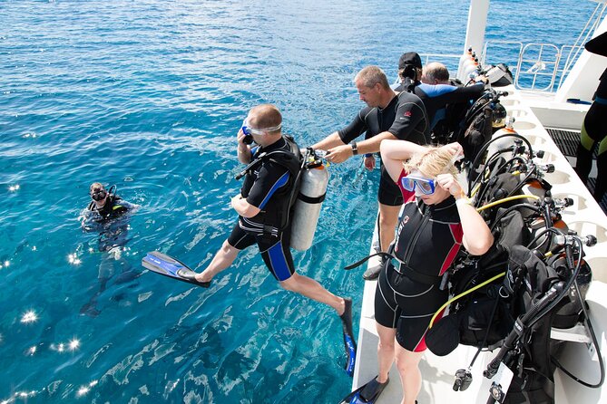 From Side, Alanya: Scuba Diving With 2 Time Dive & Lunch - Location and Provider