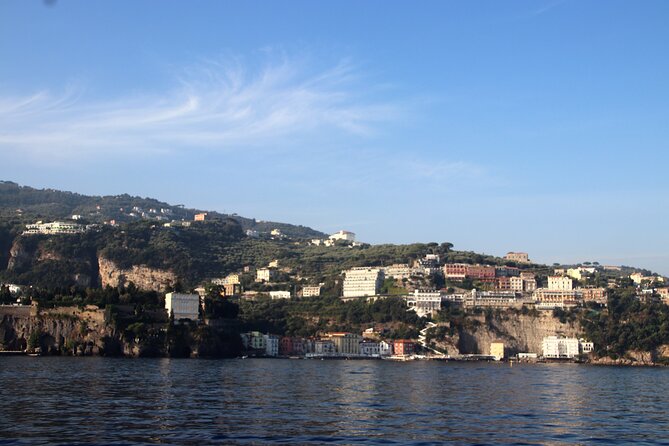 From Sorrento: Capri and Anacapri Tour With Faraglioni Cruise