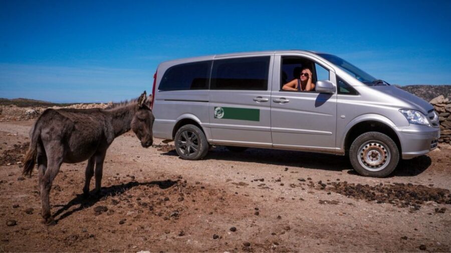 From Stintino: Asinara National Park Guided Tour by Minivan