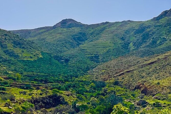 Fuerteventura: Private NORTH TOUR