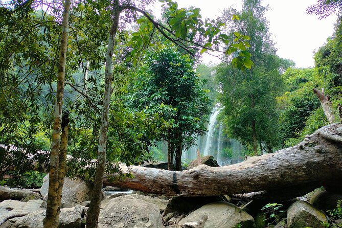 Full Day Adventure Tour Phnom Kulen, Beng Mealea & Kampong Phluk - Tour Overview