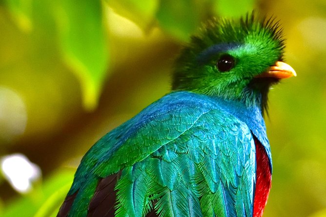 4 Best Full-Day Tours In Monteverde