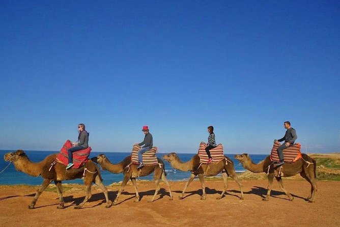Full-Day Cadiz to Tangier Private Tour With Pick up and Lunch
