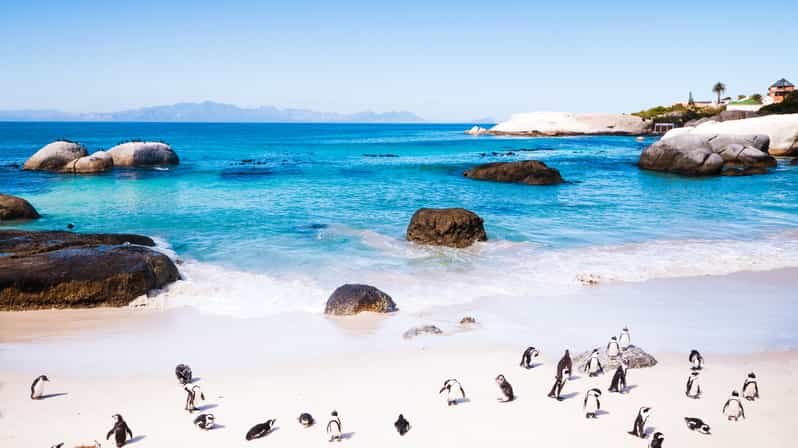 Full Day Cape Peninsula Tour - Tour Overview and Pricing