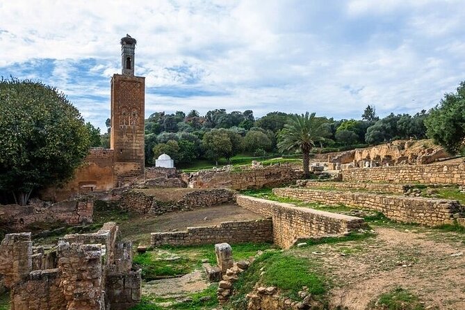 Full-Day Casablanca and Rabat Private Guided Tour - Inclusions